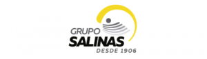 Grupo Salinas | CESA MS