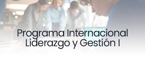 Programa Internacional Liderazgo y Gestión I - grupo 740