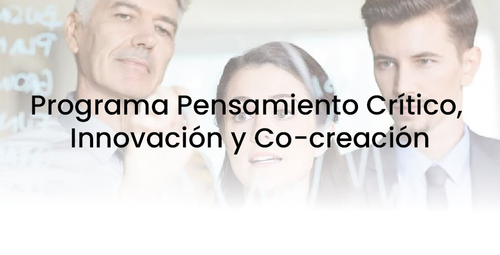Programa Pensamiento Crítico, Innovación y Co-creación - Securitas Colombia