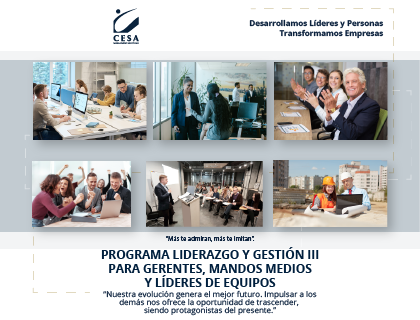 Programa Internacional Liderazgo y Gestión III - grupo  523