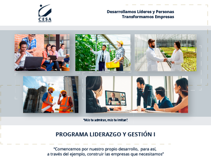Programa Liderazgo y Gestión I - grupo 417